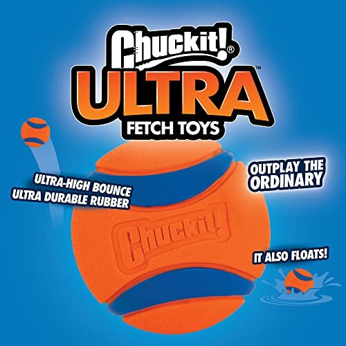 Chuckit! Ultra fetch toy with ultra-high bounce and durable rubber.