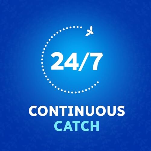 24/7 continuous catch illustration with fly