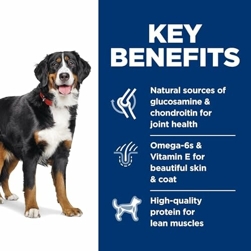 Dog next to key benefits of pet food including joint health, skin and coat, and lean muscles.