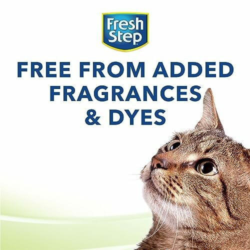 Fresh Step cat litter advertisement with tabby cat.