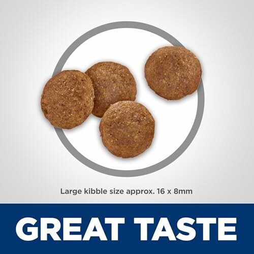 Four large kibble pieces with text 'Great Taste'.