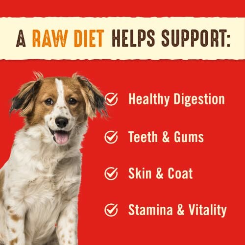 Dog with text highlighting benefits of a raw diet: healthy digestion, teeth and gums, skin and coat, stamina and vitality.