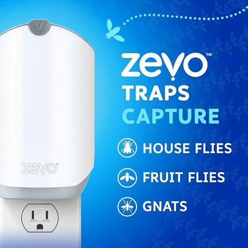 Zevo insect trap for house flies, fruit flies, and gnats.